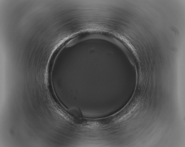 X0000113280391200909141230