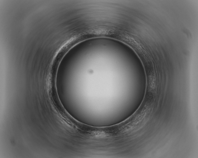 X0000113280392200909141230