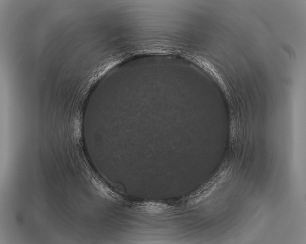 X0000113280393200909141230