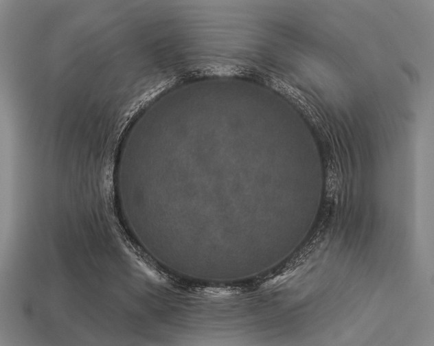 X0000113280394200909141230