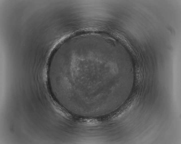 X0000113280395200909141230