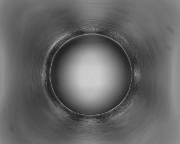 X0000113280396200909141230