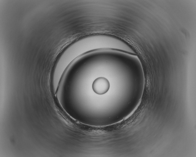 X0000113280397200909141230