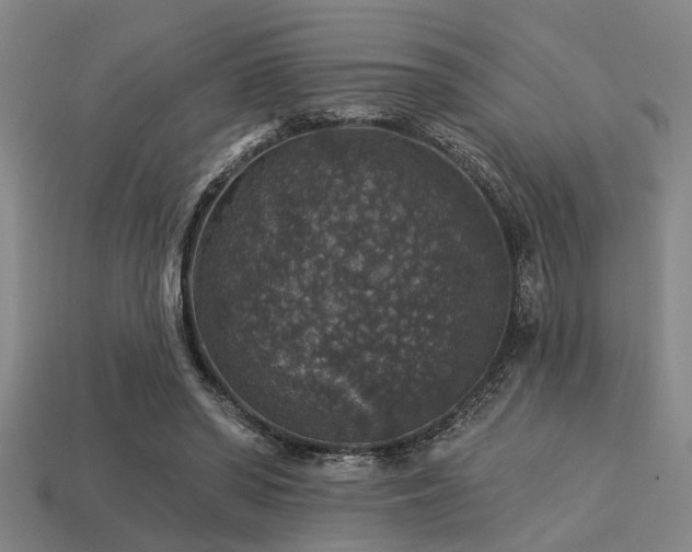 X0000113280398200909141230