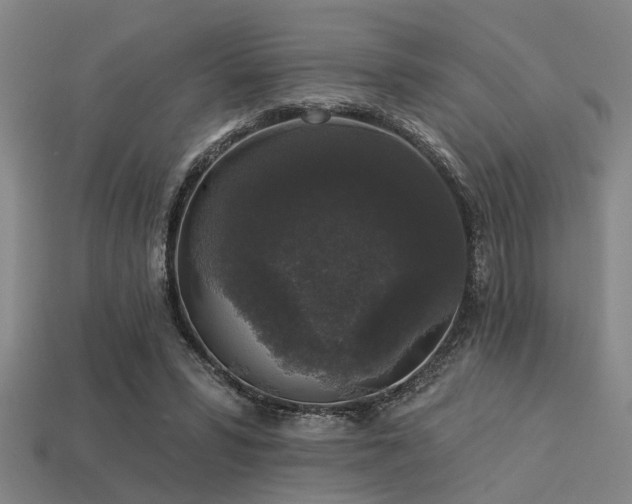 X0000113280399200909141230