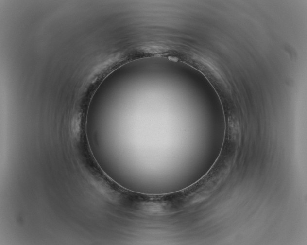 X0000113280404200909141229