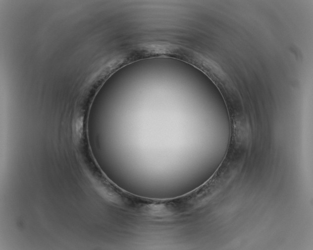 X0000113280406200909141229