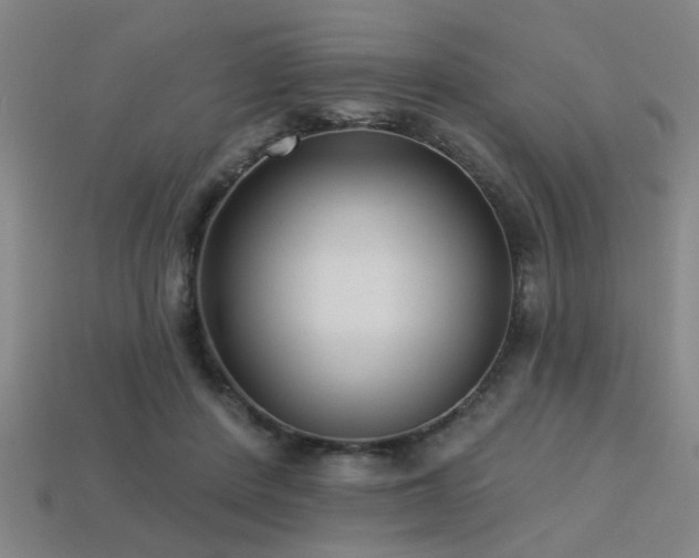 X0000113280408200909141229