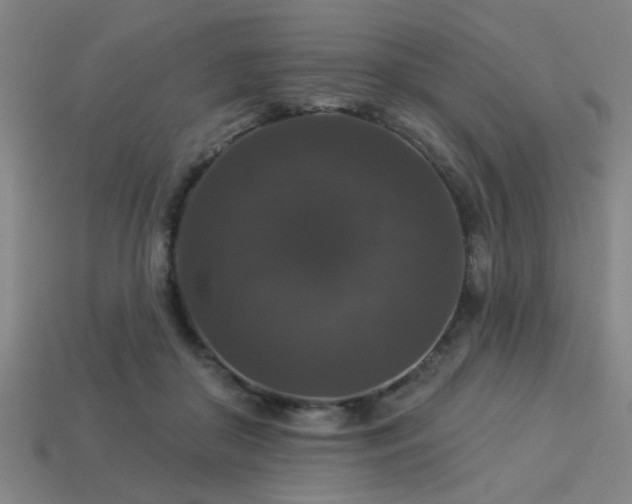 X0000113280410200909141229