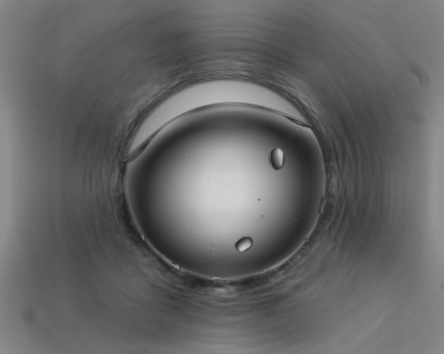 X0000113280411200909141229