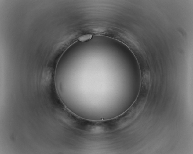 X0000113280412200909141229