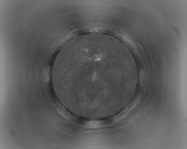 X0000113280413200909141229