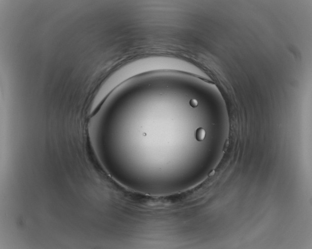 X0000113280415200909141229