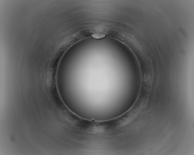 X0000113280416200909141229