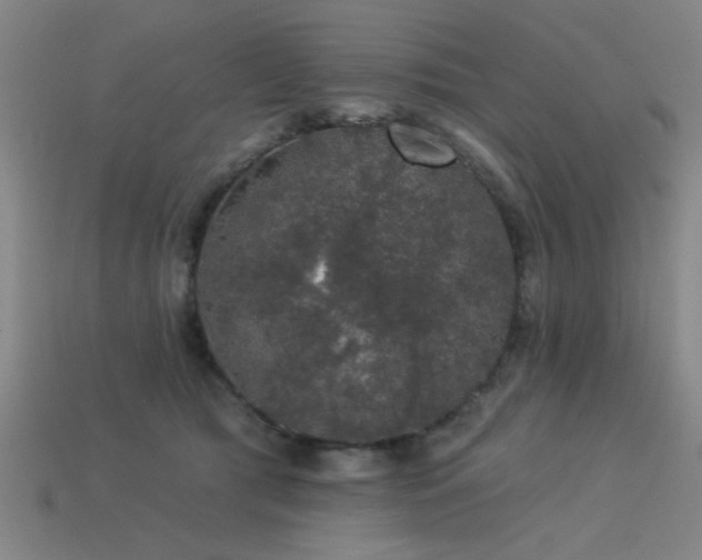 X0000113280417200909141229