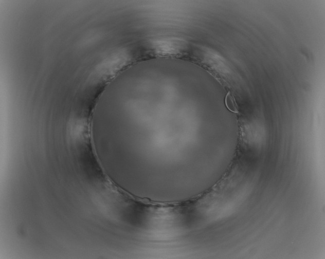 X0000113280419200909141229