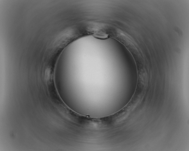 X0000113280420200909141229