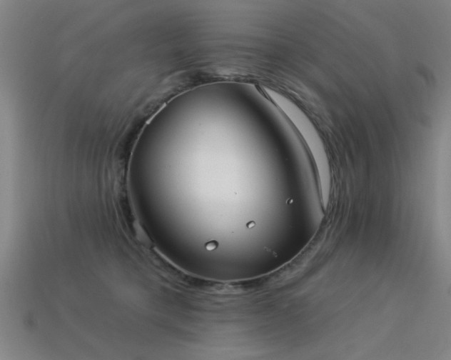 X0000113280421200909141229