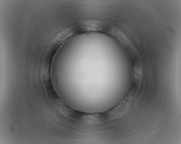 X0000113280422200909141229