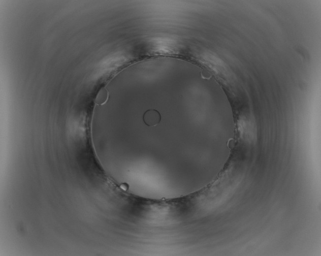 X0000113280423200909141229