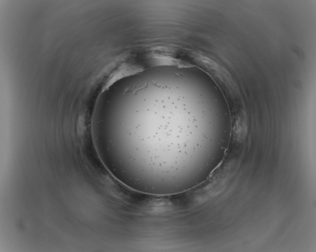 X0000113280424200909141229