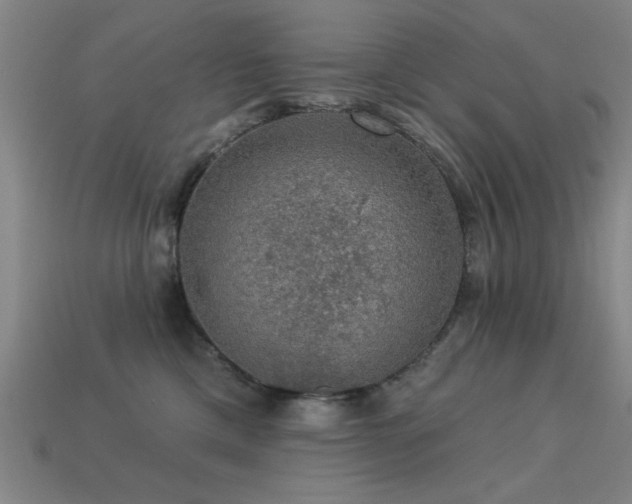 X0000113280425200909141229