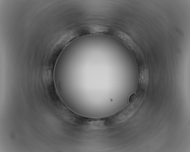 X0000113280426200909141229