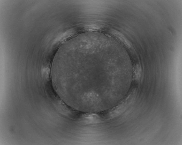 X0000113280427200909141229