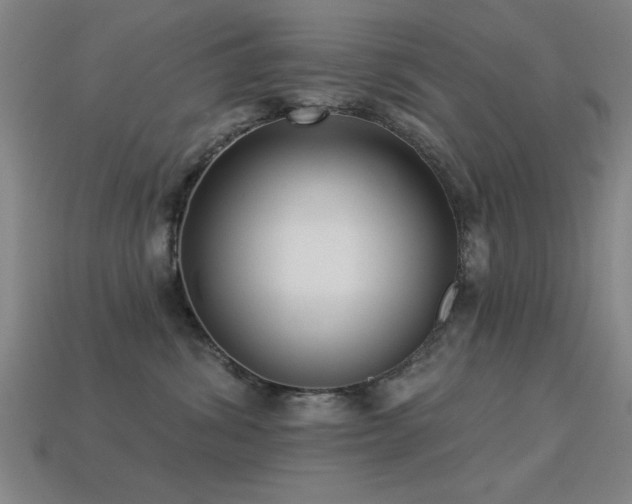 X0000113280428200909141229