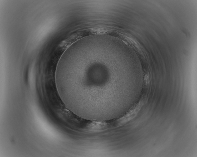 X0000113280429200909141229