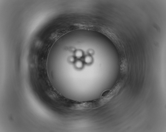 X0000113280430200909141229