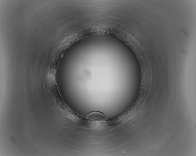 X0000113280432200909141229