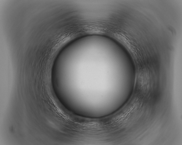 X0000113280433200909141228