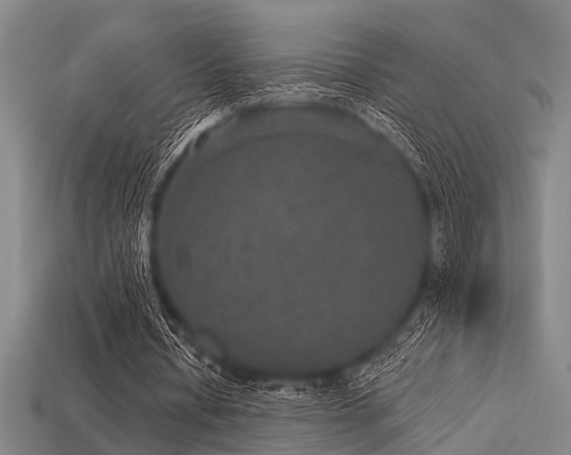 X0000113280434200909141228