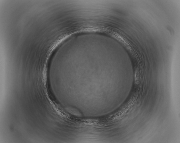 X0000113280436200909141228