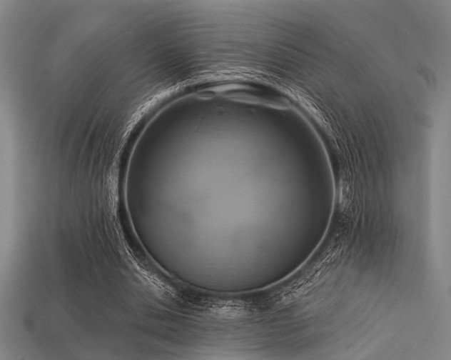 X0000113280438200909141228