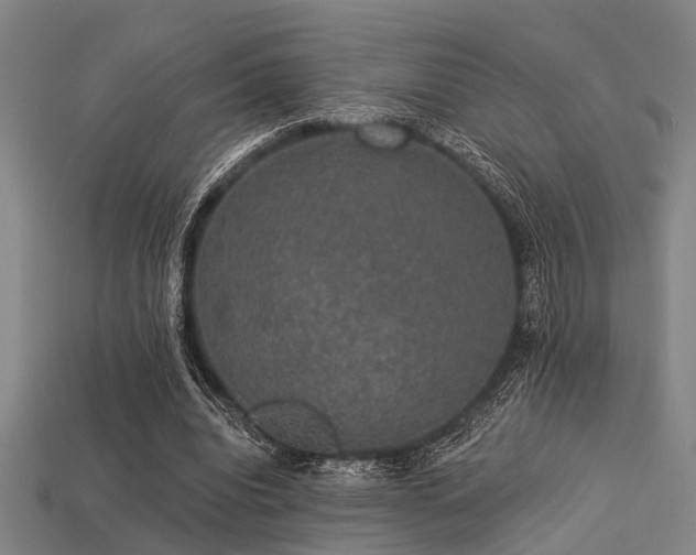 X0000113280440200909141228