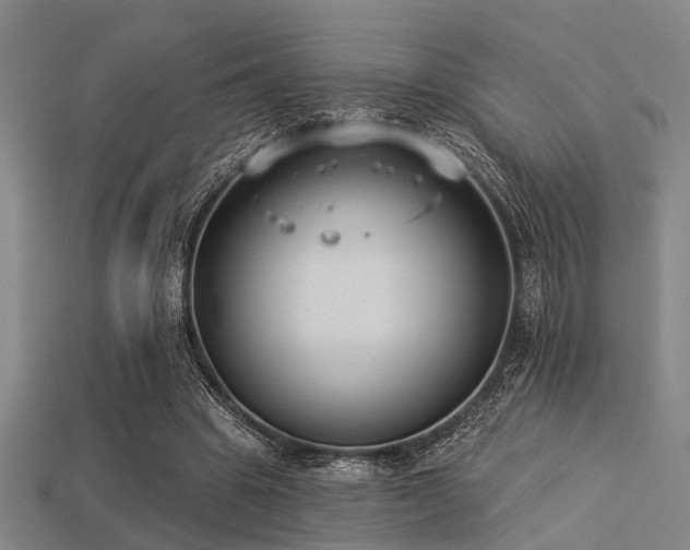 X0000113280441200909141228