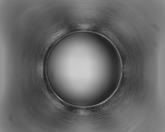 X0000113280442200909141228