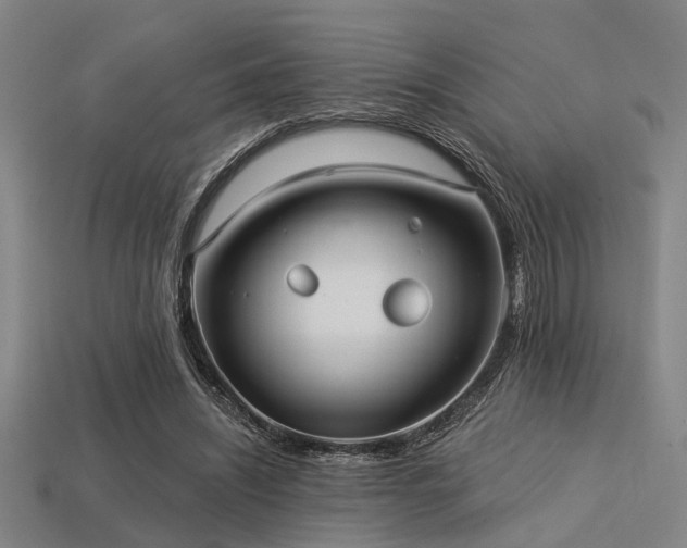 X0000113280444200909141228