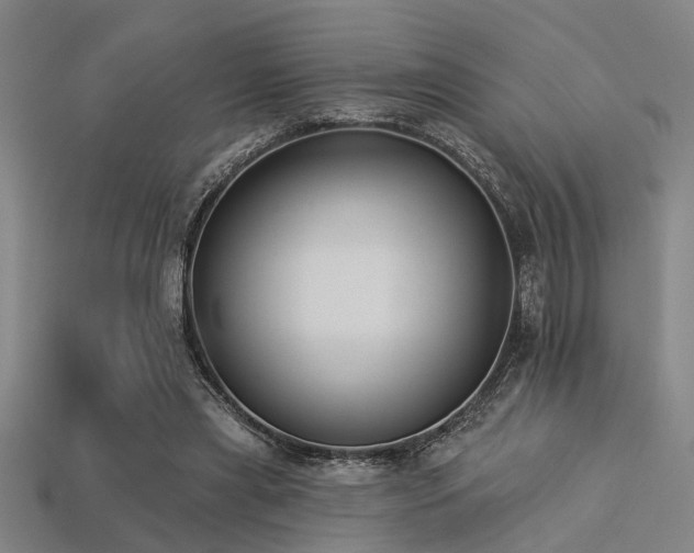 X0000113280445200909141228