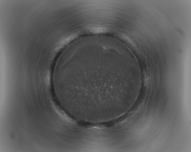 X0000113280447200909141229