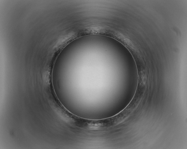 X0000113280450200909141229