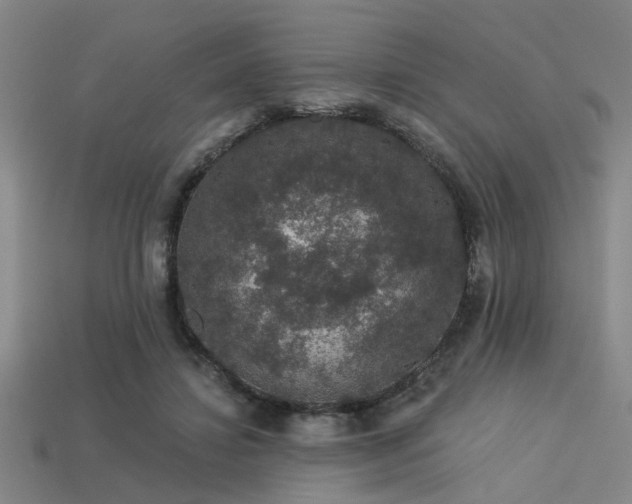 X0000113280452200909141229