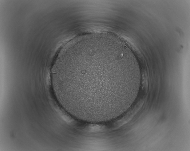 X0000113280453200909141229