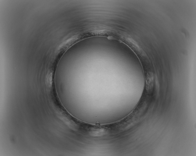 X0000113280454200909141229