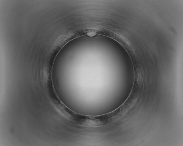 X0000113280455200909141229