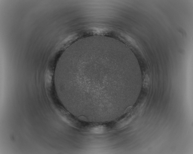 X0000113280456200909141229