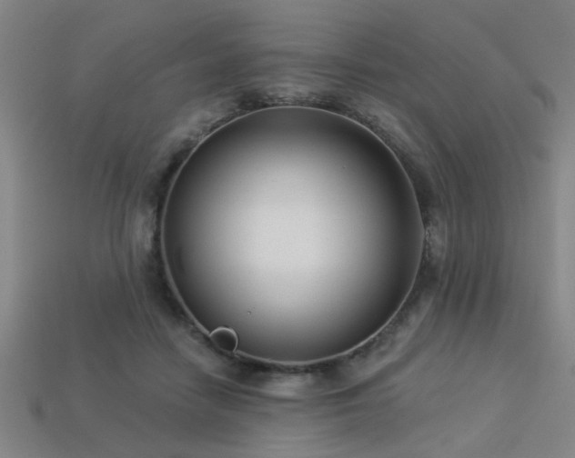 X0000113280458200909141229