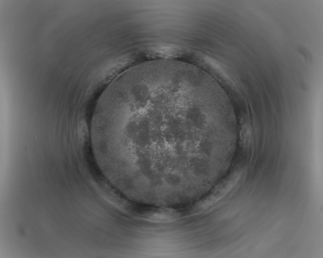 X0000113280459200909141229